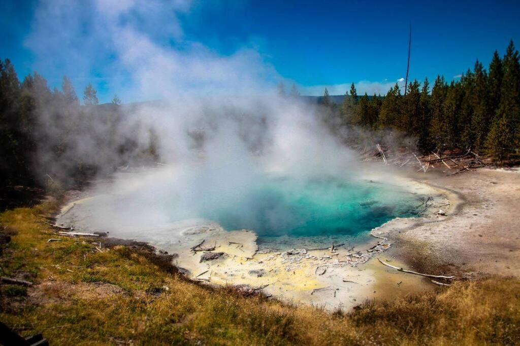 White Owl Retreat Yellowstone Grand Teton Island Park Exterior photo